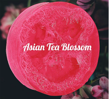 Load image into Gallery viewer, Asian Tea Blossom Loofah Soap Bar 5 oz
