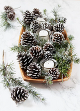 Load image into Gallery viewer, Roasted Pinecone Scented Soy Wax Candle
