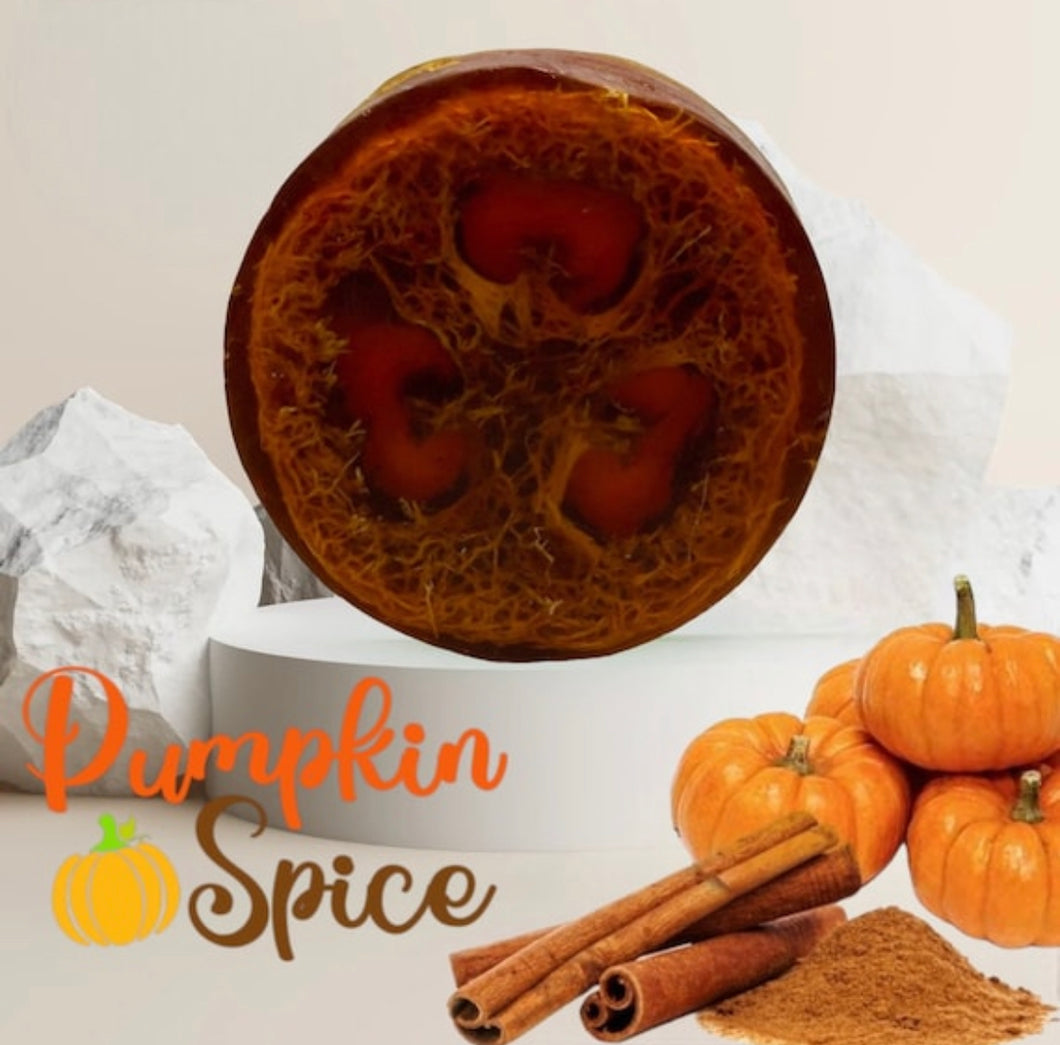 Pumpkin Spice Loofah Soap Bar 5oz- Pumpkin Spice loofah soap, exfoliating loofah soap bar, vegan soap, pumpkin spice soap